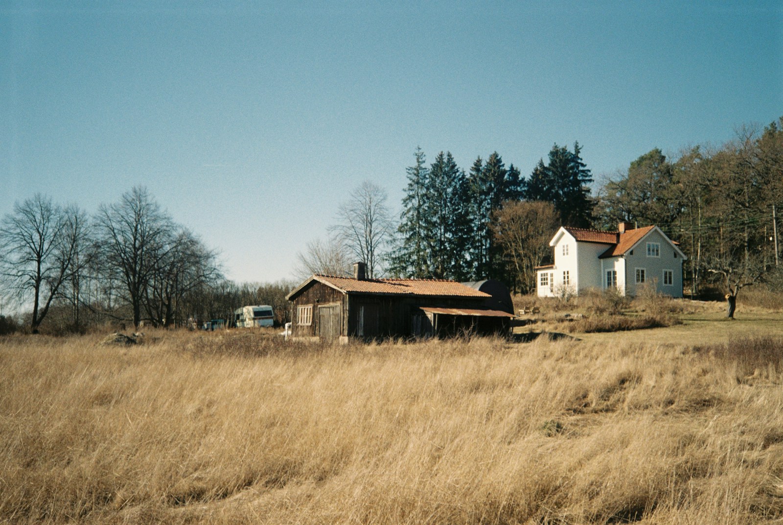 Cover image for How to Build a More Self-Reliant Property Without Going Fully Off-Grid showing Documentary film photo, broad exterior morning shot of a modest rural homestead with roof solar, kitchen garden beds, rain barrels, and a compact house still visibly tied to.